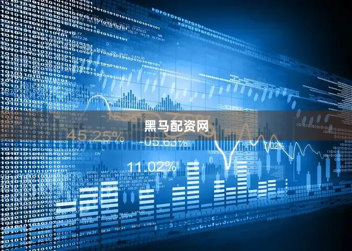 黑马配资网